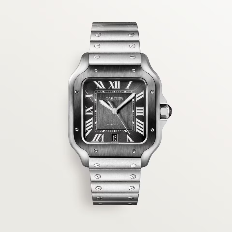 CARTIER SANTOS 41 mm (5A+)